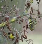 2024 Febr P1150190 01