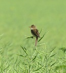 2024 Mai P1180978 01