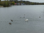 Apr2025-P1270781 01