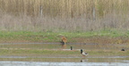Apr2025-P1280115 01