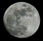 a7r2-2026--NovoLeica-DSC02682 01