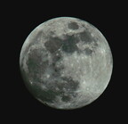 a7r2-2026--NovoLeica-DSC02656 01