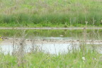 FZ1000-P2180885 01